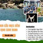 Tour Câu Mực Đêm Cam Ranh - Trải nghiệm độc đáo