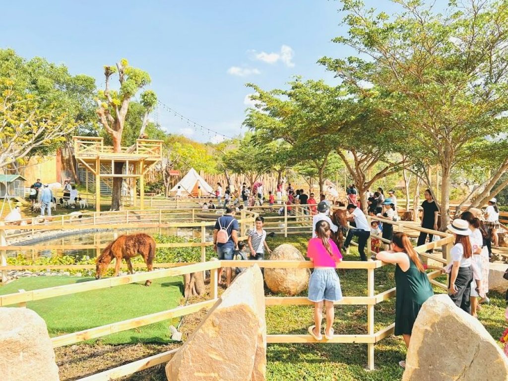 vườn bách thú dream hills farm