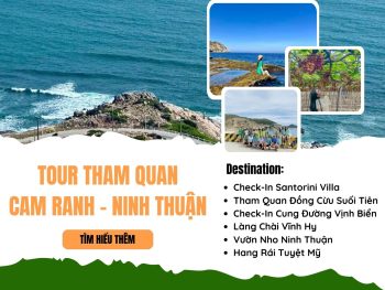 Tour Du Lịch Khám Phá Ninh Thuận 1 Ngày: Từ Đồng Cừu Đến Hang Rái & Khu Nghỉ Dưỡng Santorini Villa
