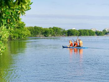 tour chèo sup đầm thủy triều