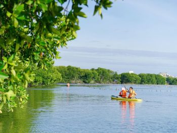 chèo sup khám phá rừng đước cam lâm