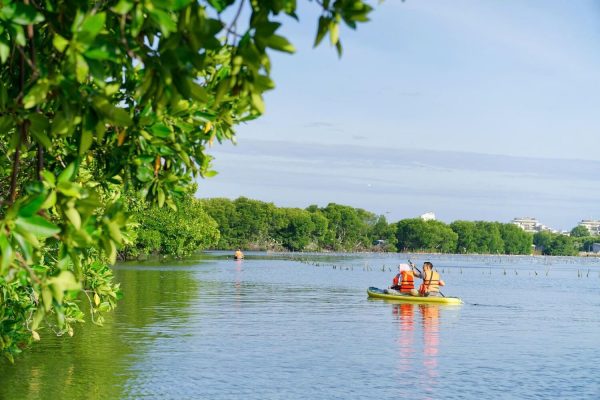 chèo sup khám phá rừng đước cam lâm