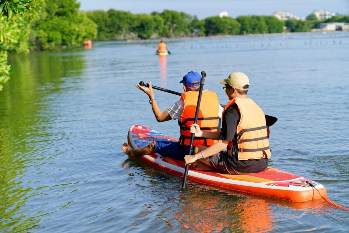 chèo sup khám phá rừng đước cam lâm