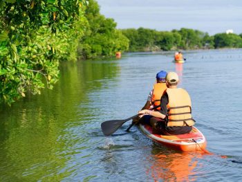 chèo sup khám phá rừng đước cam lâm