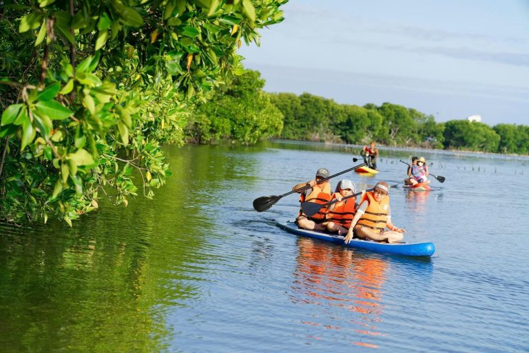 tour chèo sup cano khám phá rừng đước đầm thủy triều