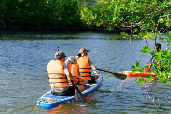 tour chèo sup cano khám phá rừng đước đầm thủy triều