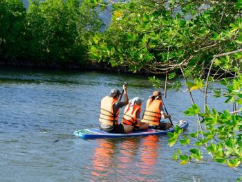 tour chèo sup cano khám phá rừng đước đầm thủy triều