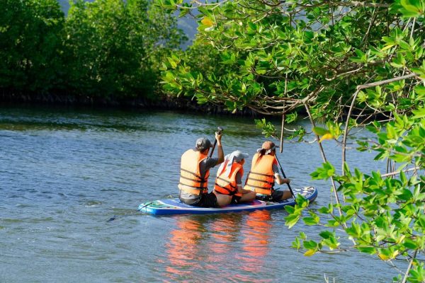 tour chèo sup cano khám phá rừng đước đầm thủy triều