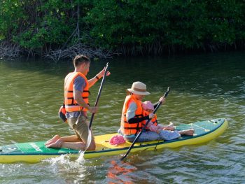 tour chèo sup cano khám phá rừng đước đầm thủy triều