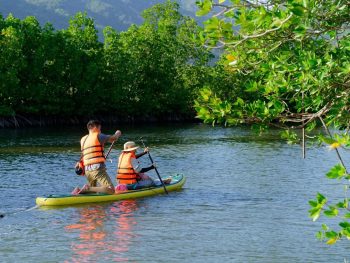 tour chèo sup cano khám phá rừng đước đầm thủy triều