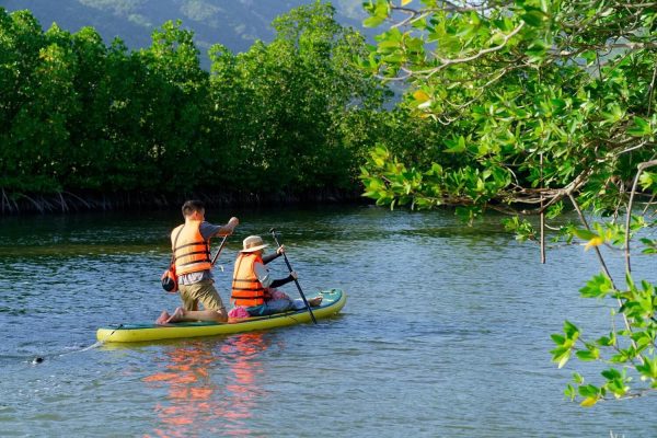 tour chèo sup cano khám phá rừng đước đầm thủy triều