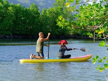 tour chèo sup cano khám phá rừng đước đầm thủy triều