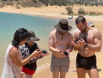 tour mũi dinh chất lượng cao của dreamhills travel