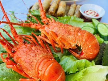 thực đơn tôm hùm hấp dẫn tour vịnh cam ranh trong ngày