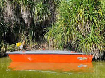 bãi dứa biển ở đầm thủy triều bạn có thể tắm ở đây