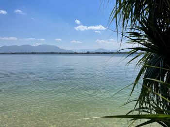 bạn có thể chèo sup và tắm ở bãi dứa đầm thủy triều