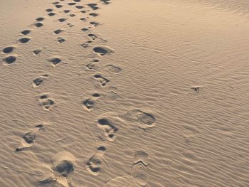 địa điểm check in trong tour thuyền dạo đầm thủy triều